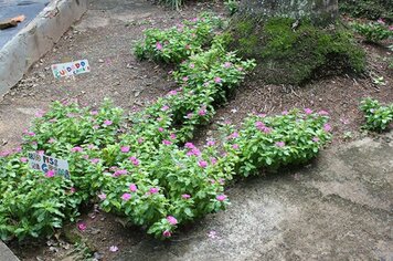 Presidente do Fundo Social de Solidariedade conhece instalações do Recriando