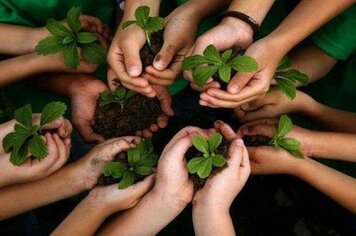 Prefeitura realiza o “Dezembro Verde” e mais de 13.500 mudas serão plantadas em Mococa