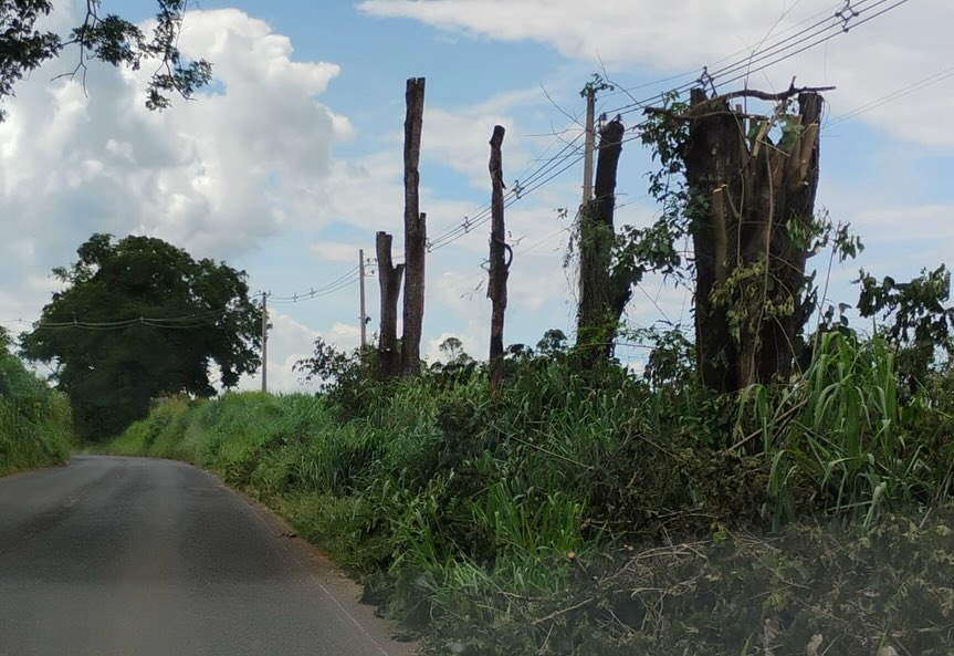 CPFL E PREFEITURA REALIZAM AÇÃO DE SEGURANÇA NA REDE SE TRANSMISSÃO DE ENERGIA