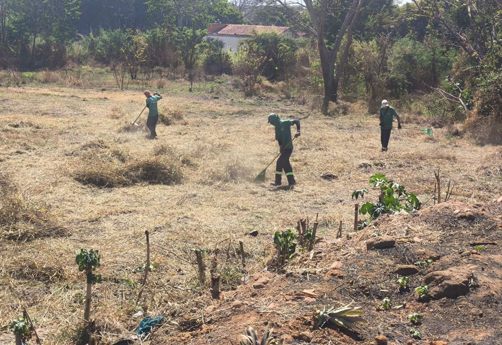 LIMPEZA GERAL EM VÁRIOS PONTOS DE MOCOCA!
