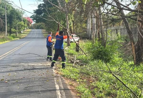  DEFESA CIVIL DE MOCOCA REALIZA EXTRAÇÃO DE ÁRVORES SECAS E QUEIMADAS NA VICINAL MOCOCA – SÃO BENEDITO DAS AREIAS 