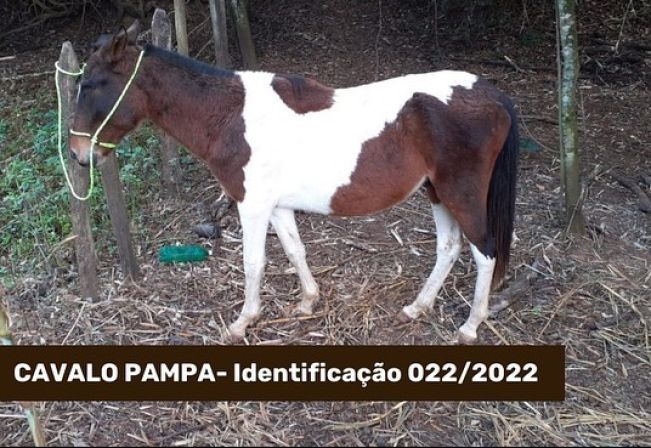 ATENÇÃO ANIMAL CAPTURADO