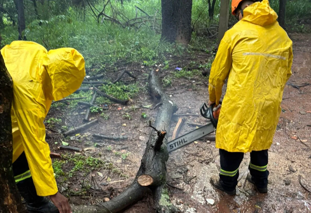 AÇÕES DA DEFESA CIVIL GARANTEM MAIS SEGURANÇA À POPULAÇÃO
