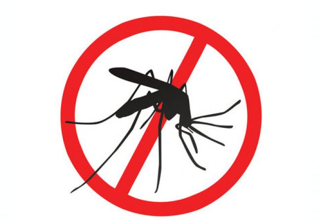 PREFEITURA PLANEJA AÇÕES DE CONTROLE DA DENGUE EM MOCOCA