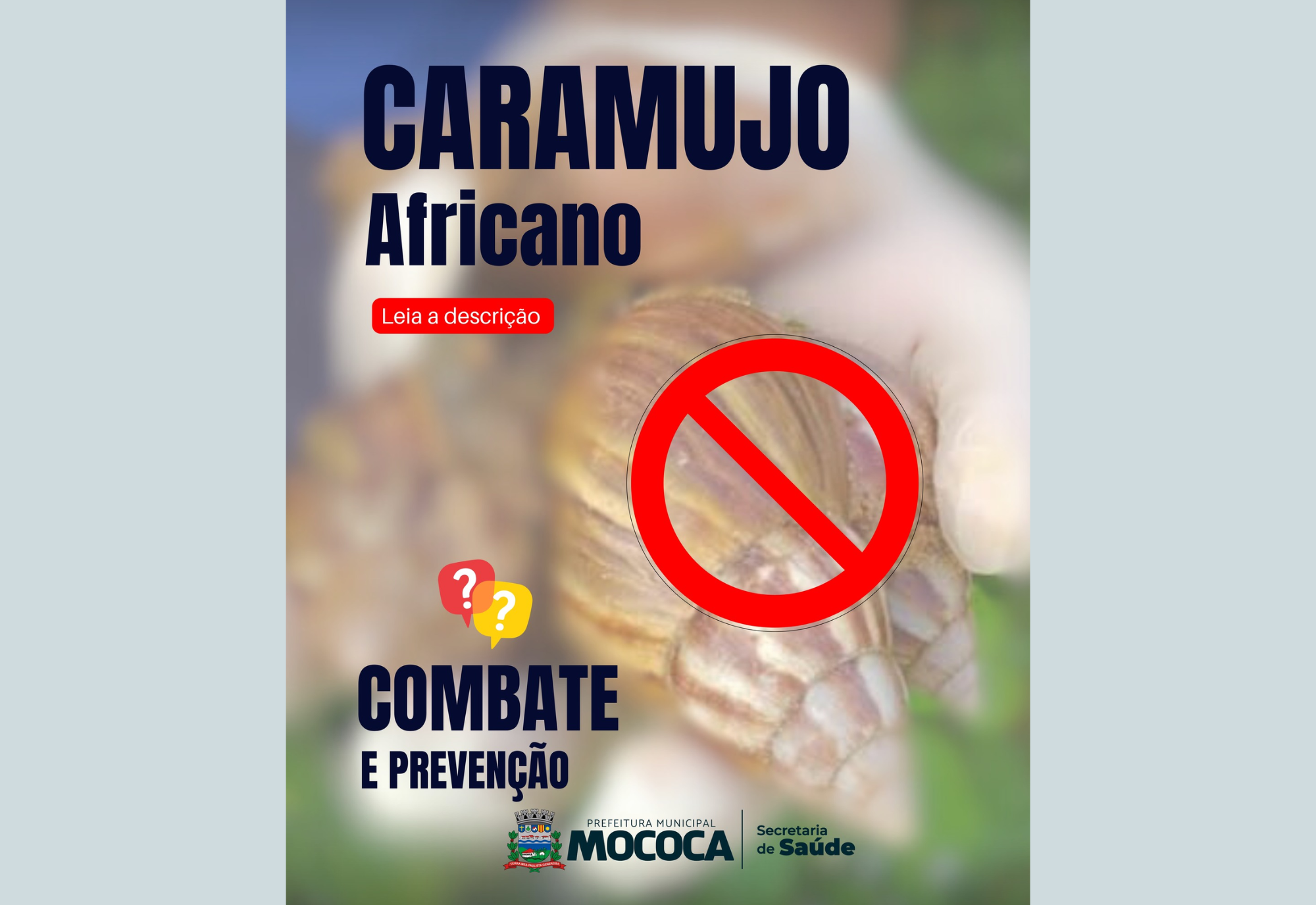 ALERTA E ORIENTAÇÕES SOBRE O CARAMUJO AFRICANO
