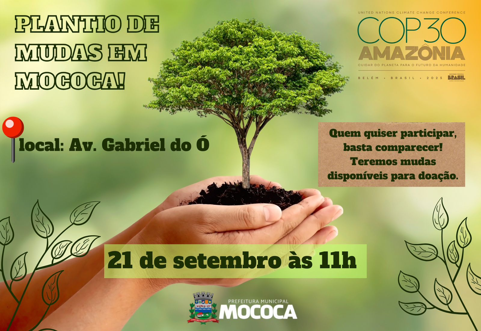 PLANTIO DE MUDAS EM MOCOCA!