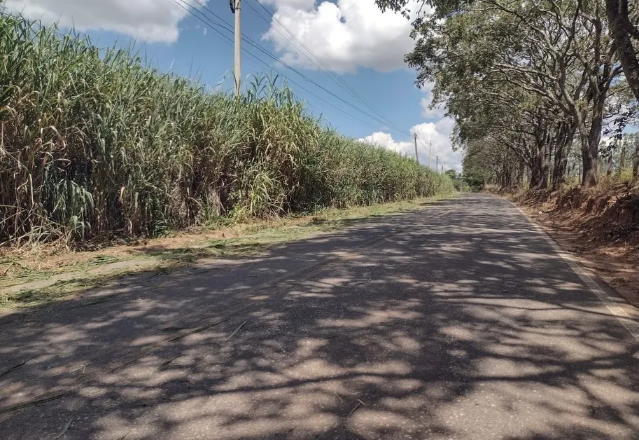 PREFEITURA REALIZA MANUTENÇÃO E ROÇADA NA VICINAL MOCOCA X SÃO JOSÉ DO RIO PARDO 