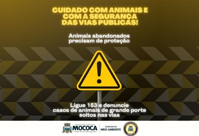 Denuncie animais soltos nas vias: garantindo a segurança e o bem-estar de todos
