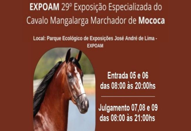Notícia - 29º EXPOSIÇÃO DE CAVALOS NA EXPOAM - Prefeitura Municipal de  Mococa