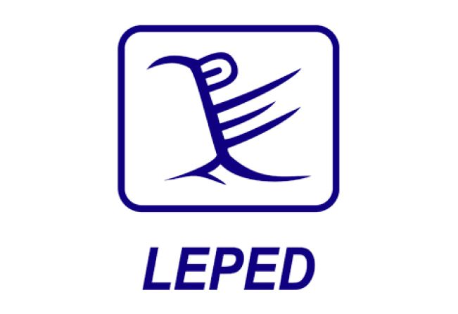 LEPED -Laboratório de Estudos e Pesquisa em Ensino e Diferença.