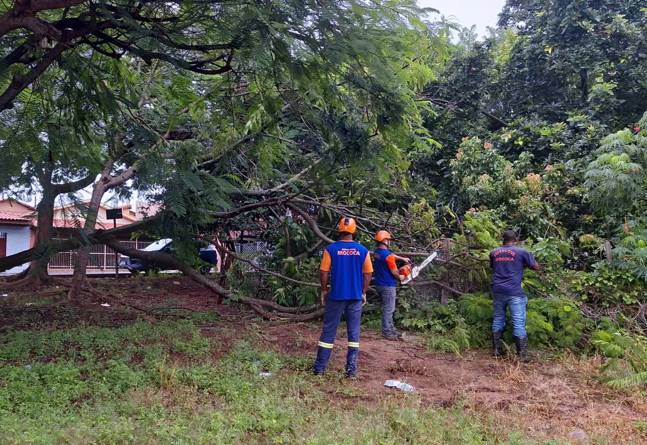 DEFESA CIVIL EM AÇÃO
