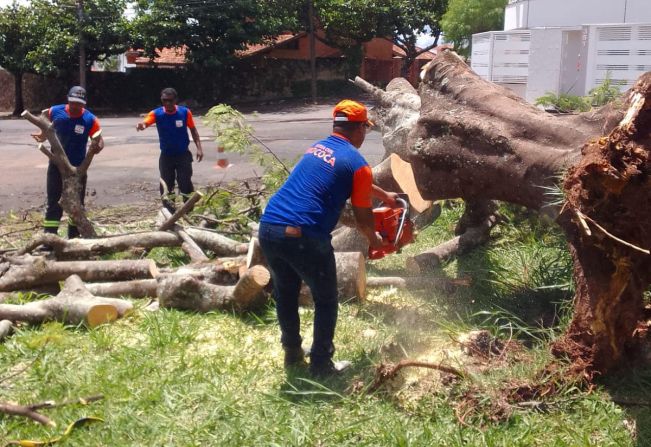 DEFESA CIVIL DE MOCOCA REALIZA REMOÇÃO DE ÁRVORES EM VÁRIOS LOCAIS