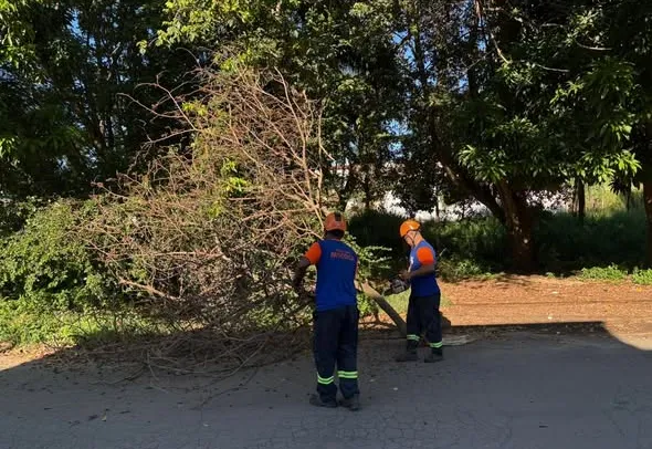 DEFESA CIVIL DE MOCOCA EM AÇÃO! 