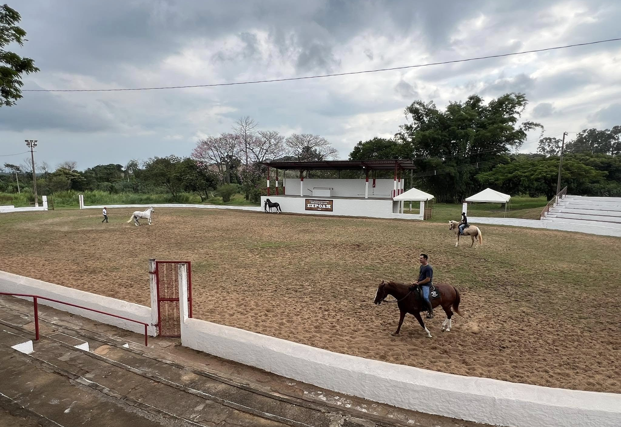 AGORA NA EXPOAM - ORGANIZAÇÃO DAS EXPOSIÇÕES AGROPECUÁRIAS NA EXPOAM