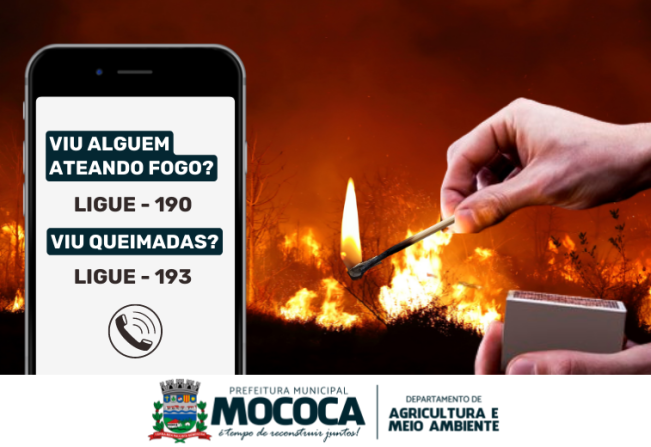 DIGA NÃO ÀS QUEIMADAS!