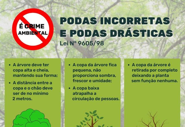 PREFEITURA ALERTA SOBRE PODA DRÁSTICA