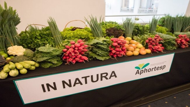 Dr. Felipe Naufel participa da cerimônia de assinatura do decreto que zera ICMS de frutas, verduras e hortaliças embalados no Estado de São Paulo