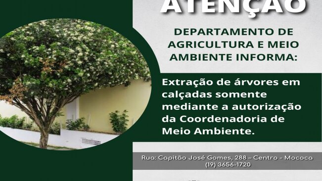 Atenção a podas drásticas e a extração sem autorização !