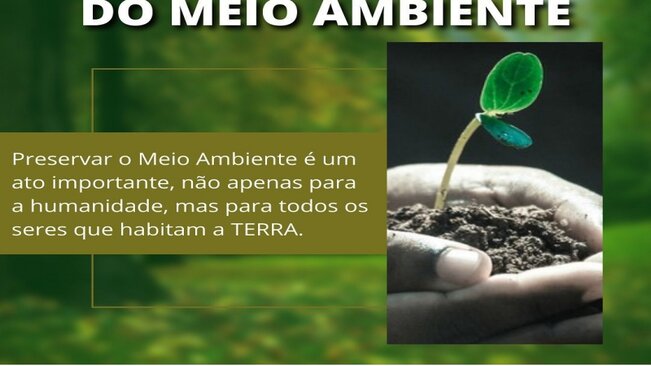 VAMOS COLABORAR COM O MEIO AMBIENTE?