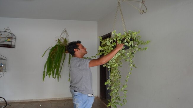 Prefeitura fecha o cerco contra a Dengue