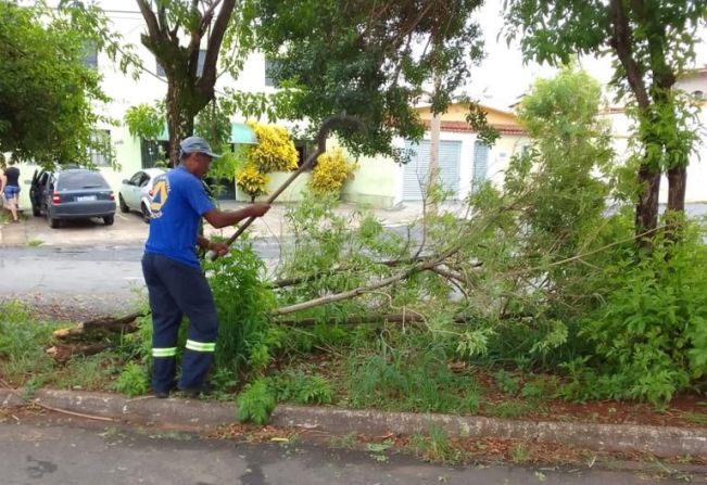 CHUVAS INTENSAS EM MOCOCA: AÇÃO EFICIENTE DA DEFESA CIVIL GARANTE NORMALIDADE NAS RUAS E ESTRADAS