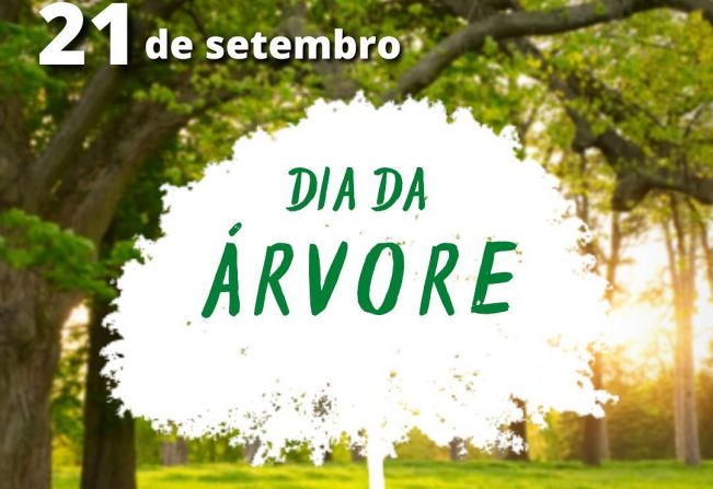 QUEM NUNCA APROVEITOU UMA SOMBRA EMBAIXO DE UMA ÁRVORE? 