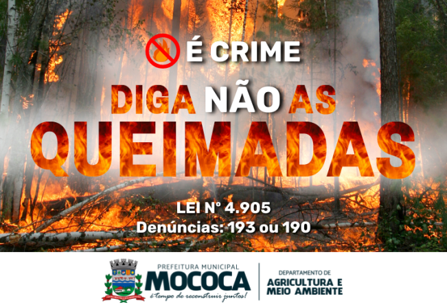 DIGA NÃO ÀS QUEIMADAS!