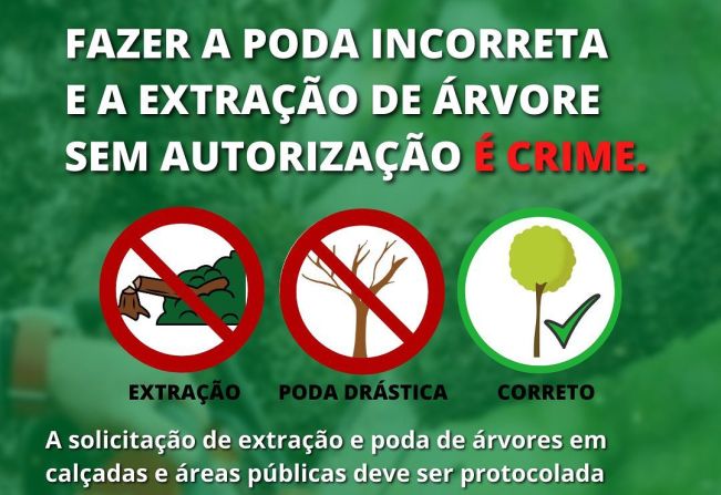 ATENÇÃO ÀS PODAS DRÁSTICAS