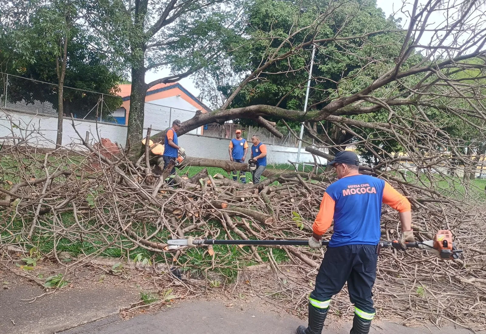 DEFESA CIVIL DE MOCOCA REMOVE ÁRVORE CAÍDA NA PRAÇA DA SAGRADA FAMÍLIA