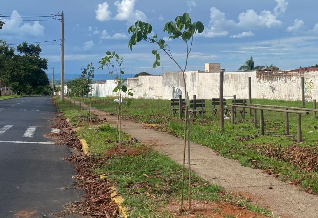 MOCOCA MAIS ARBORIZADA