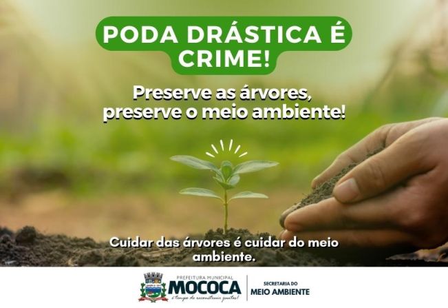 Poda drástica é ilegal: faça o protocolo e preserve o Meio Ambiente!