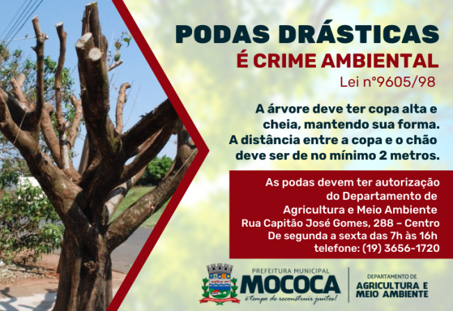 ATENÇÃO: A PODA DRÁSTICA É CONSIDERADA CRIME AMBIENTAL E SUJEITO À MULTA!