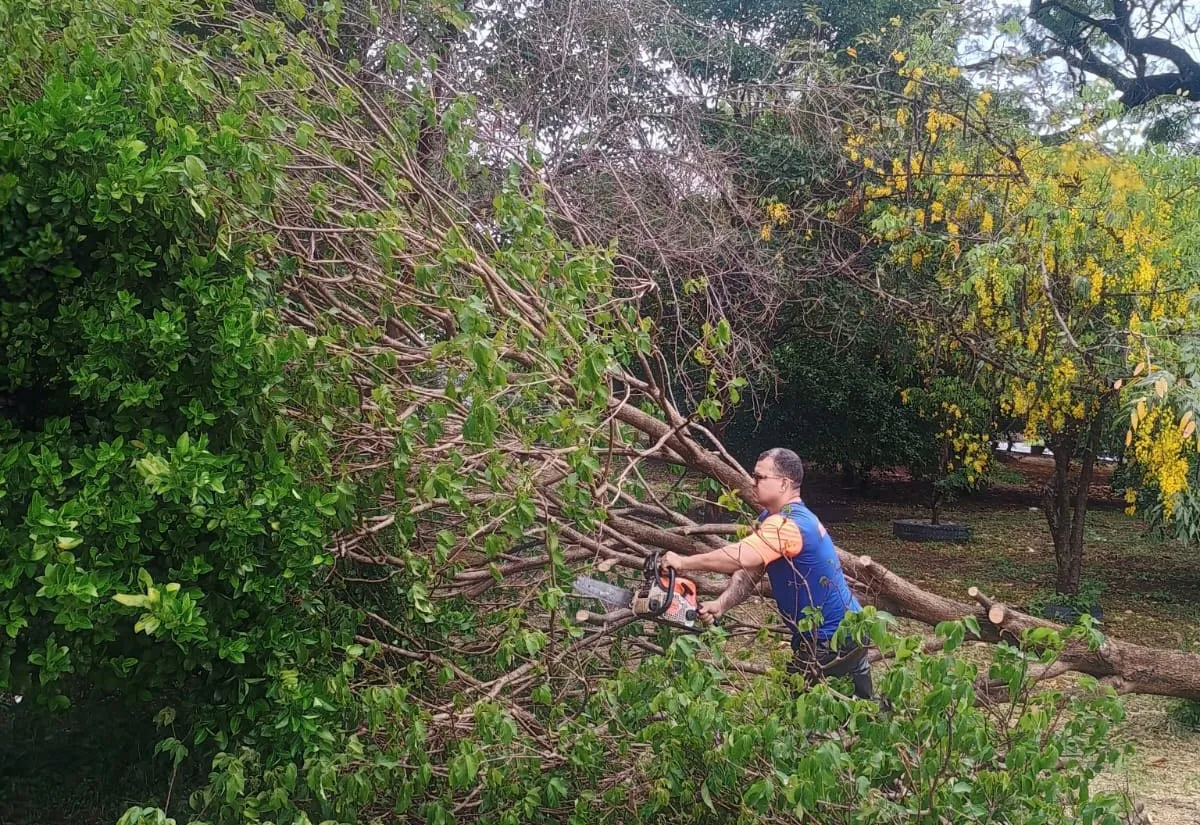  DEFESA CIVIL DE MOCOCA NA ATIVA!