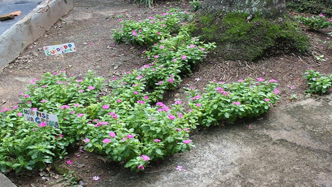 Presidente do Fundo Social de Solidariedade conhece instalações do Recriando