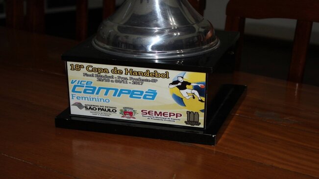 Handebol Feminino é vice-campeão no Estado de São Paulo