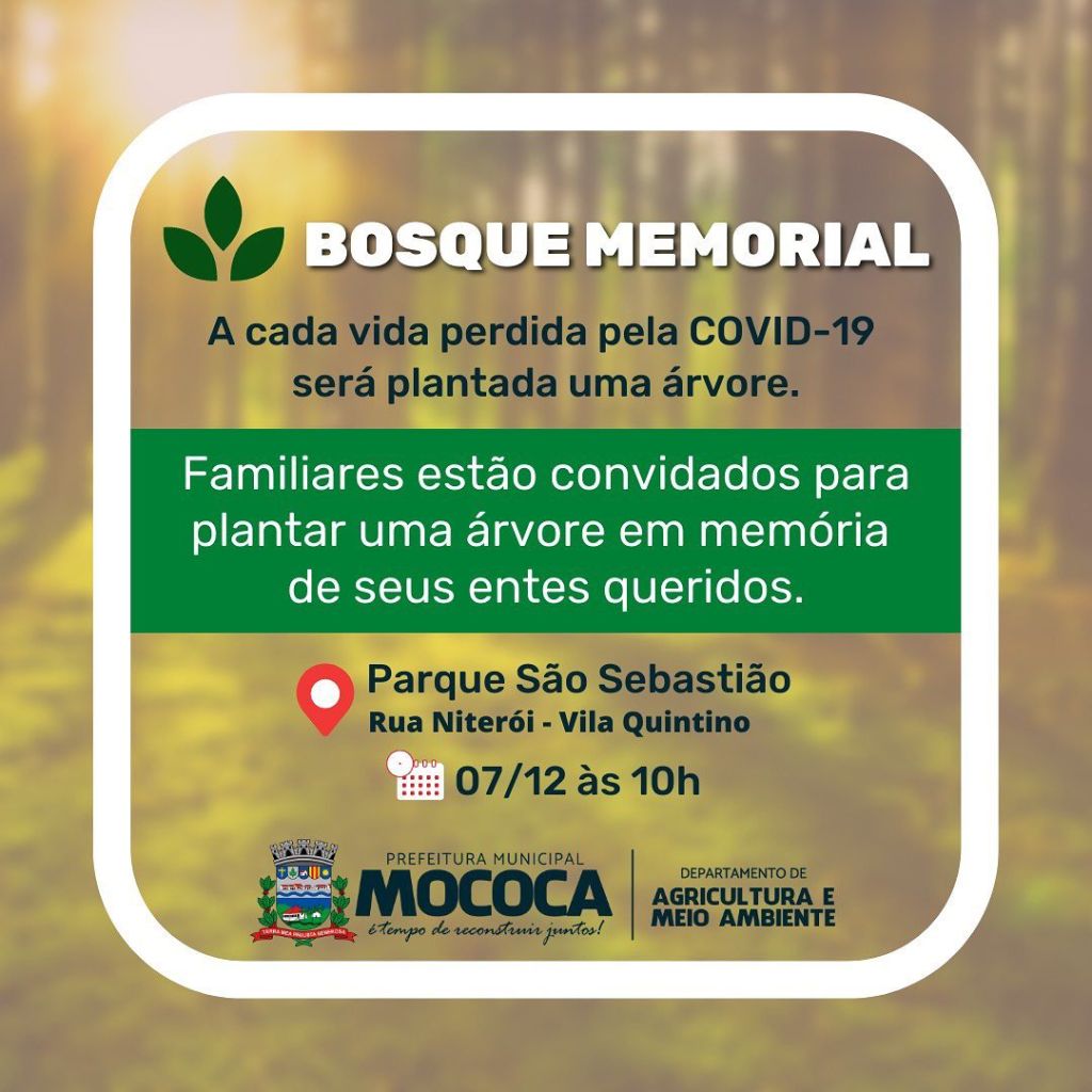 Memorial - Linha do Tempo Acessível